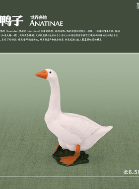 童德农场动物玩具仿真模型塑胶白鸭子天鹅灰鹅白鹅儿童礼物摆件