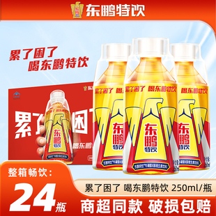 东鹏特饮24瓶功能性饮料整箱批特价250ml小瓶装维生素牛磺酸饮料
