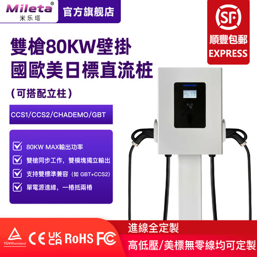 国欧美日标双模块双枪80KW直流桩