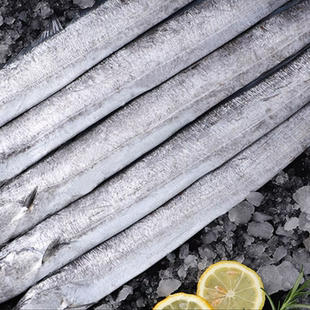 空运包邮【带鱼】黄海海捕 日照小眼冷水油带鱼整条装 新鲜速冻