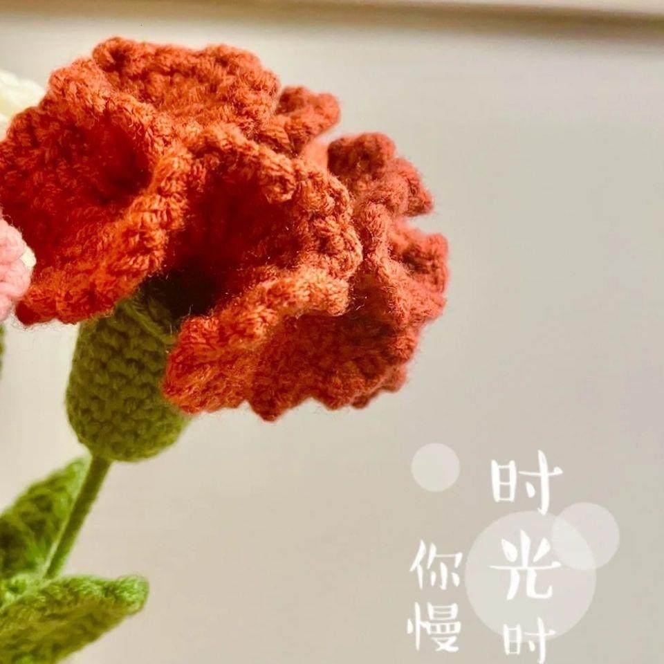 DIY钩织材料包毛线钩织花束仿真花束康乃馨永生花束母亲节女神节,服饰配件/皮带/帽子/围巾,DIY编织材料包,淘宝优惠券,粉丝福利购,淘宝优惠卷