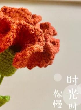 DIY钩织材料包毛线钩织花束仿真花束康乃馨永生花束母亲节女神节