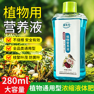 营养液植物通用型盆栽水培富贵竹绿萝发财树营养液花草专用肥料