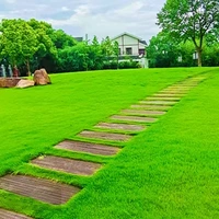 [Высокая резка акций на складе]/1 кора