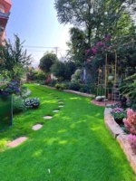 [Импортированная трава хребта]/1 Сообщество Catties Park предоставлено счета