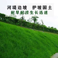 [Импортированный наклон -Король защиты]/1 кошельки защиты от склона почвы обеспечивают счета