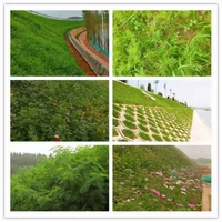 [Склонный защитный семена травы+кустарник+семена цветов]/1 Проецируя котливые