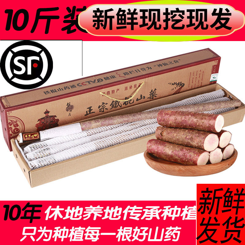 温县铁棍山药河南焦作铁杆棒山药山约正宗麻紫长怀淮山药新鲜礼盒