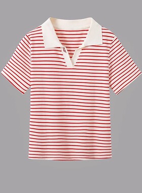 大洪平衡T夏季老钱风休闲百搭短袖条纹POLO领T恤时尚宽松减龄上衣