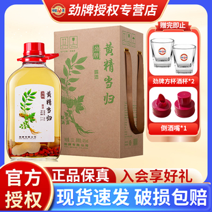 玻璃养生酒药材浸泡酒 劲牌黄精当归酒2.3L40度大桶装 官方正品