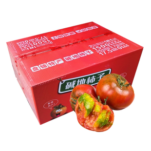 【顺丰包邮】盘锦盐碱地柿子4斤礼盒草莓番茄西红柿新鲜当季水果