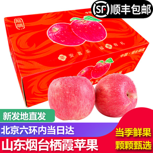 【顺丰包邮】山东栖霞红富士苹果8斤礼盒装整箱苹果新鲜当季水果
