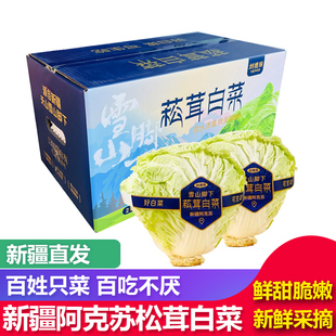 【京东包邮】新疆阿克苏刘德丽菘茸白菜新鲜蔬菜冬季大白菜可生吃