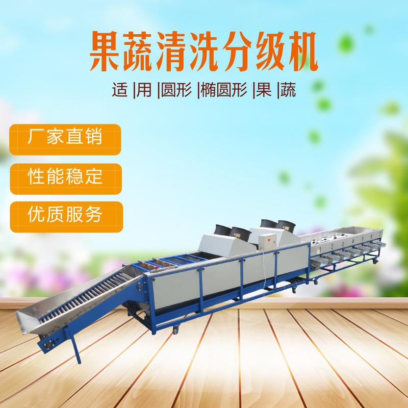 水果清洗机清洗提升机清洗分选机小青柑柑桔脐橙果蔬清洗分级
