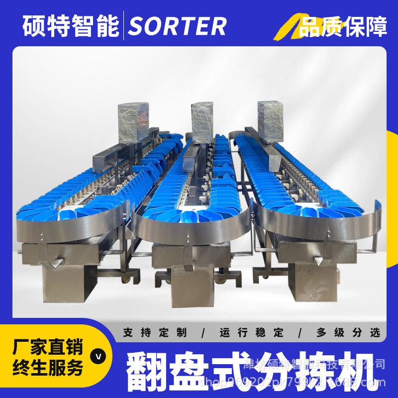 小型水产重量分选机鱼类拨杆式称重分级机白条鸡生鲜克重分拣机