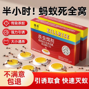 蚂蚁药家用室内全窝端非无毒灭除杀白蚁灭蚁饵剂专用杀虫剂呋虫胺