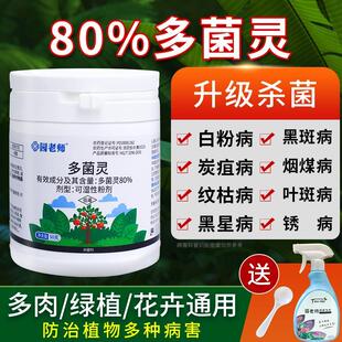 多菌灵杀菌剂粉剂黄叶黑斑白粉病专用百菌清多肉月季花卉病常用药