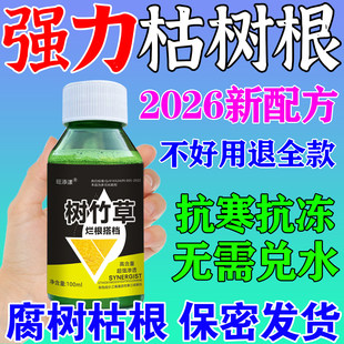 枯根大树专用喷剂大树腐蚀树根的药构树杨树强力毒枯树死王腐树根