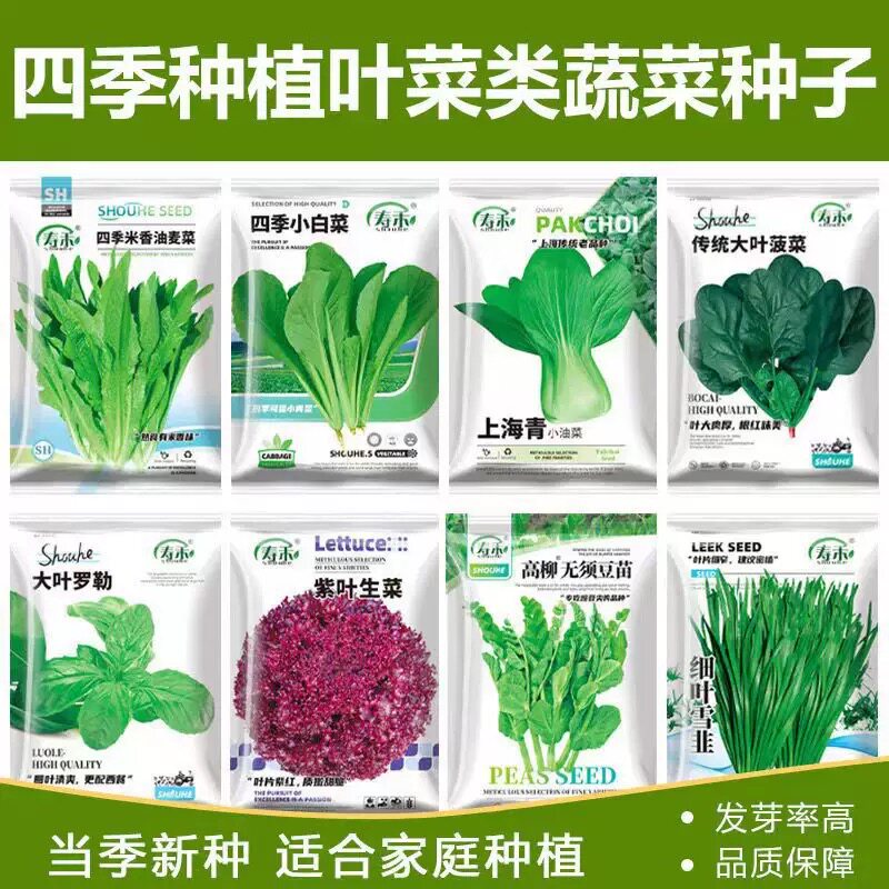 菜籽种大全蔬菜种孑四季播种萝卜香菜籽种生菜葱蒜辣椒大白菜种子