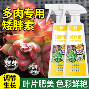 多肉专用矮胖素爆芽促根营养液花卉绿植通用增色助壮剂免稀释肥料