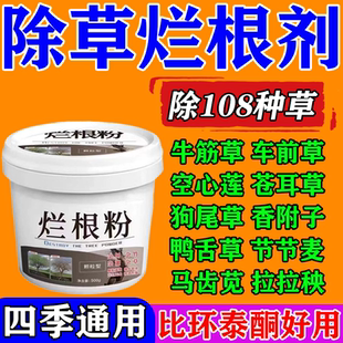 强力除草烂根剂正品一扫光三年不长草烂根粉杂草克星灭树粉连根拔