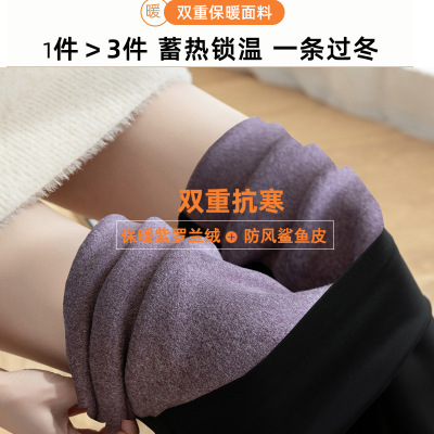 秋冬加绒鲨鱼裤喇叭裤女高腰大码加厚微喇裤瑜伽裤显瘦加长打底裤