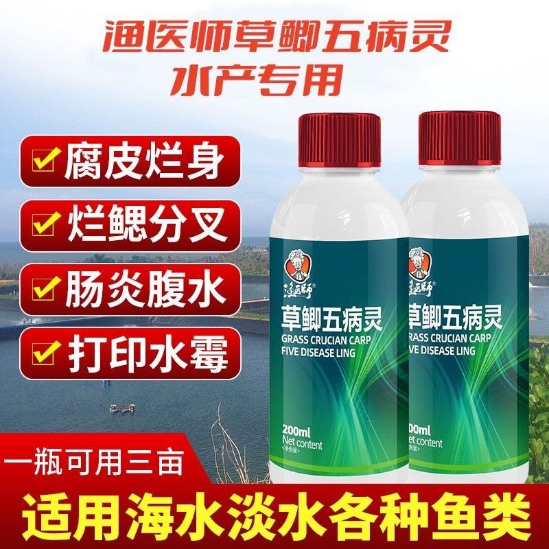 草鱼鲫鱼五病灵水产养殖鱼防治爆发性出血烂鳃药赤皮打印腐皮烂身