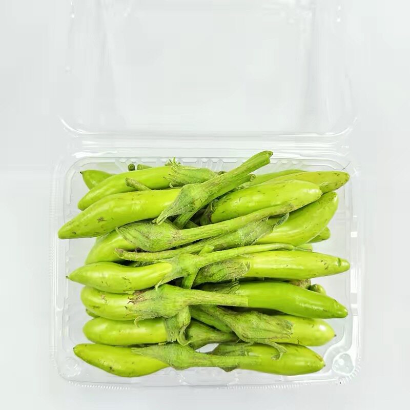 云南新鲜嫩茄子小茄子绿茄子腌茄子现摘农家自种蔬菜露天新鲜现发