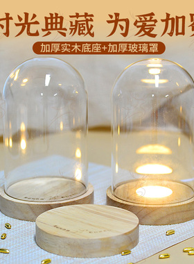 各种金豆瓶萌粒摆台透明罩