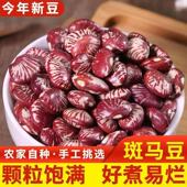 斑马豆新货农家豆荷包豆煲汤煮粥批发养生豆 云南正品 钜惠5斤