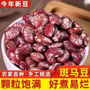 【钜惠5斤】云南正品斑马豆新货农家豆荷包豆煲汤煮粥批发养生豆