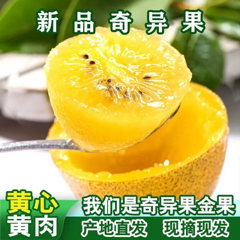 黄心猕猴桃整箱直采软糯香甜看得见薄皮新鲜现摘营养又多汁正品