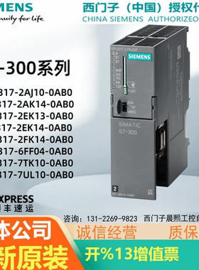 2PN/DP西门子300模块6ES7317-2AJ10/2AK14/2EK13/2EK14/2FK/-0AB0