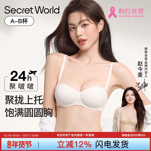Secret World内衣女聚拢小胸显大上托半杯无痕女士文胸罩夏薄款