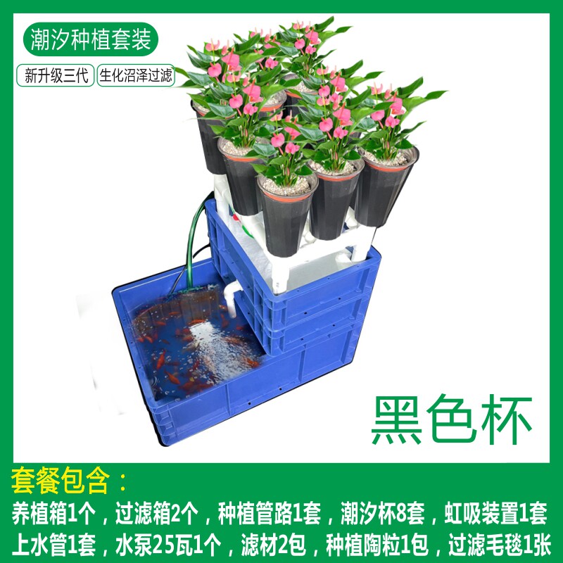 升级带过滤虹吸鱼菜龟植共生设备种菜不施肥家庭潮汐原生态种植i.