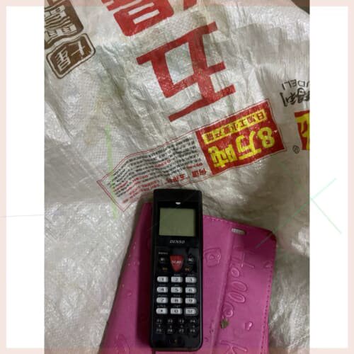 DENSO 型号: BHT-900B ，裸肌没电池，