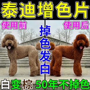 泰迪美毛增色专用钙片狗狗卵磷脂爆毛虾红素狗粮去泪痕护毛素鱼油