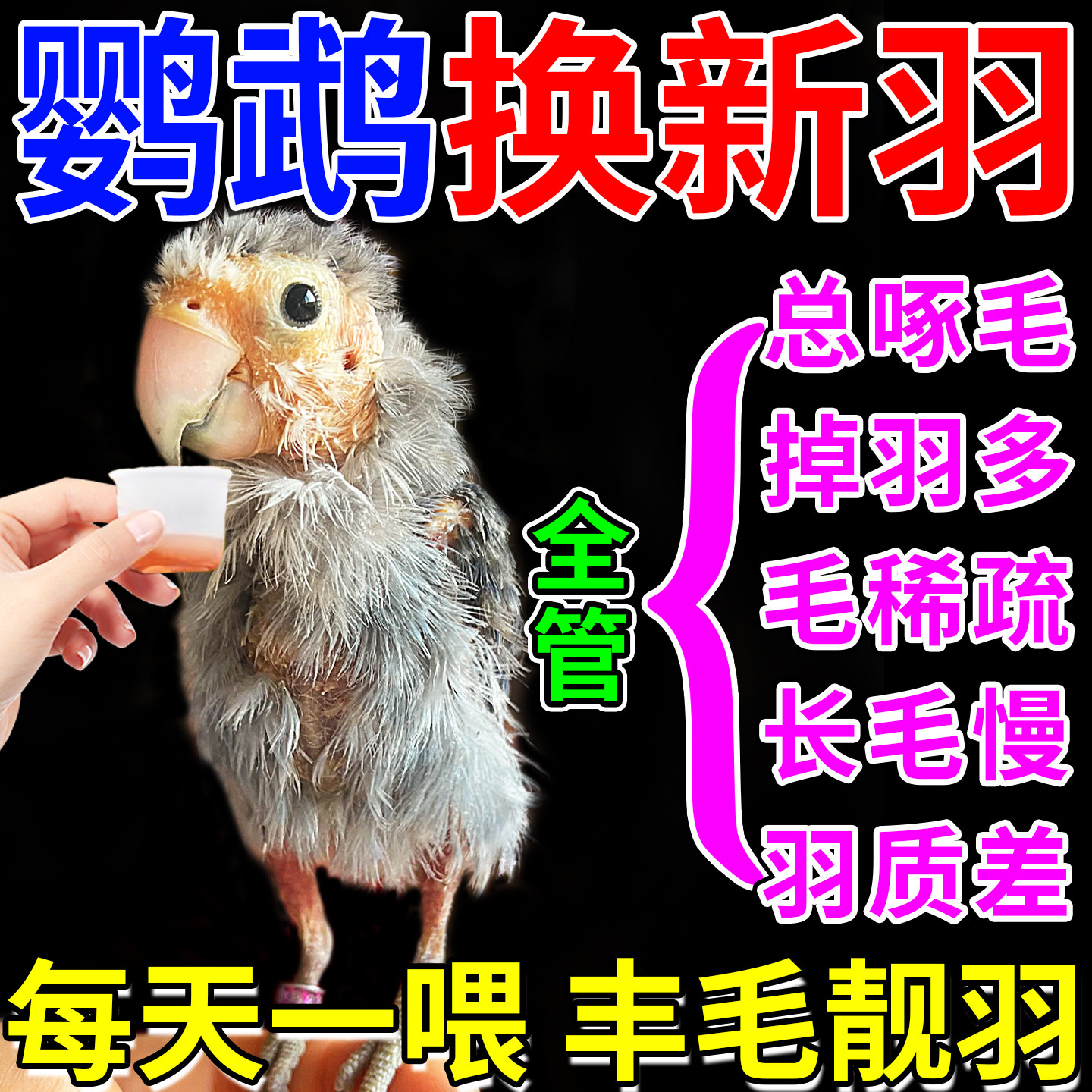 鹦鹉换羽维生素电解质