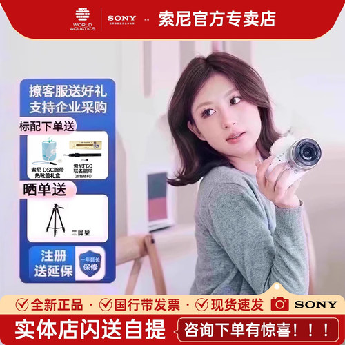 索尼sonyZVE10微单相机全新国行
