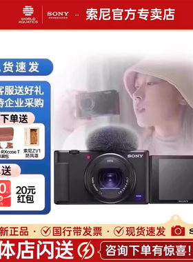 Sony/索尼 ZV-1数码相机自拍美颜vlog相机微单外观索尼zv1照相机