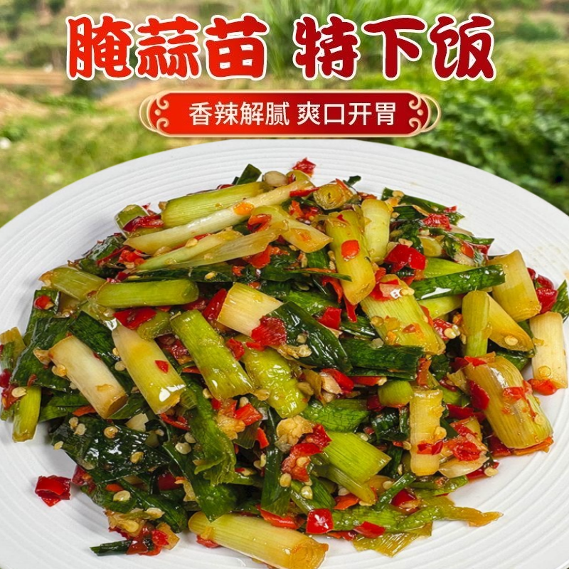 江西即食酸辣大蒜苗须酸辣下饭菜