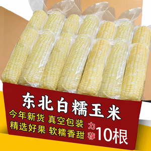 东北白糯玉米黏苞米真空锁鲜