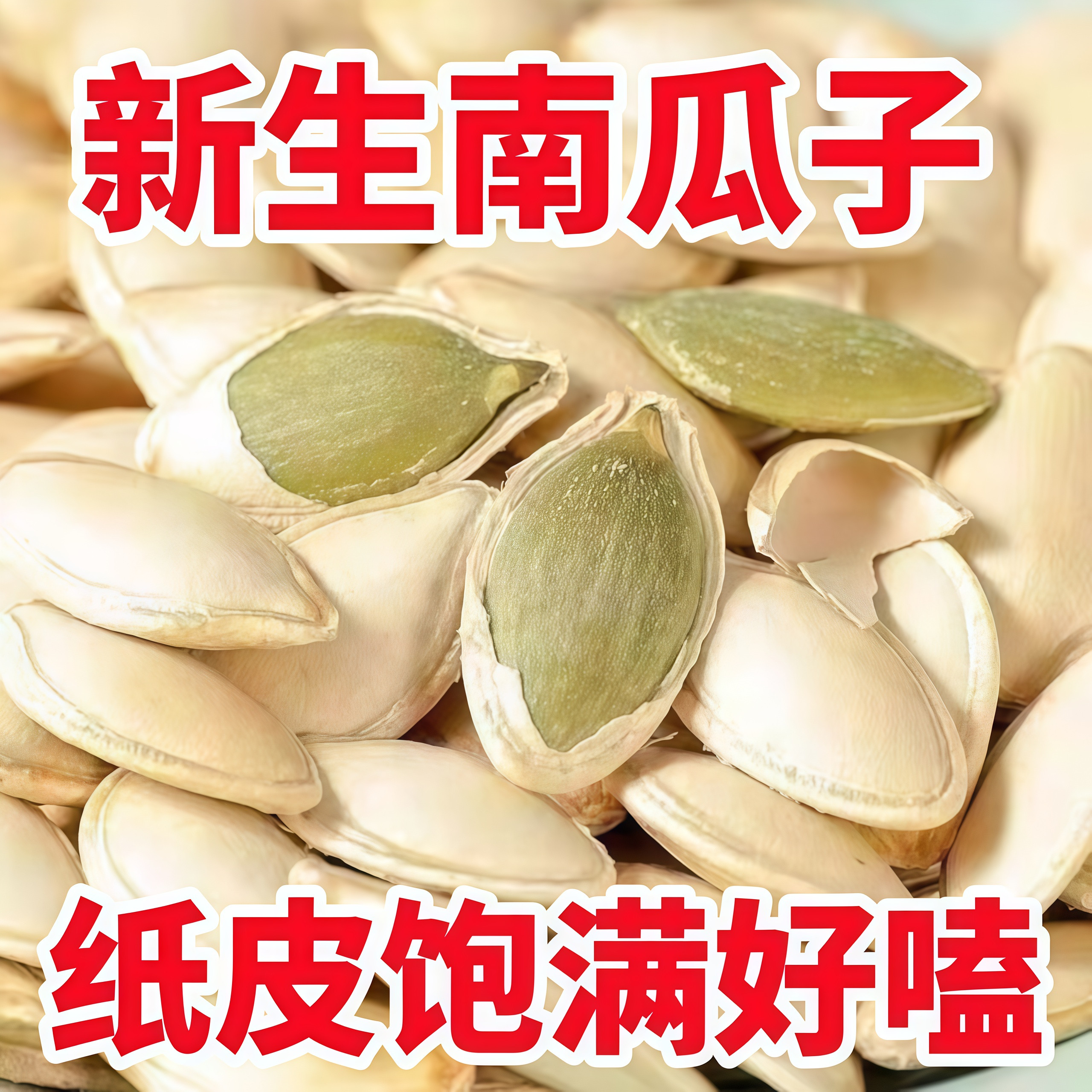 内蒙巴彦淖尔纸皮南瓜子新货原味现炒南瓜籽无干燥剂休闲零食