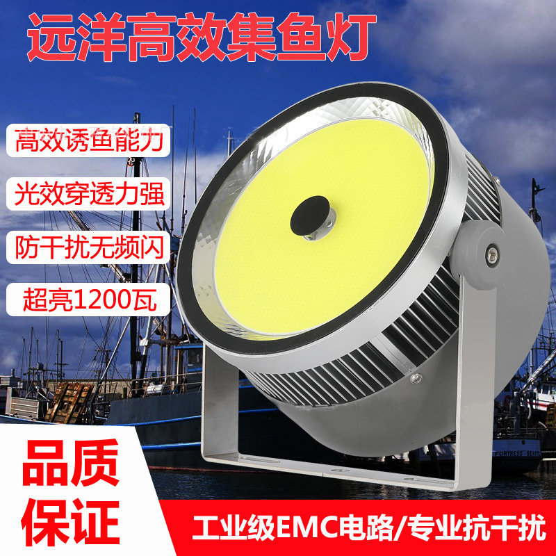 雷奕渔船用led集鱼青光引鱼海钓鱿鱼灯聚鱼集鱼灯 带鱼刀鱼诱鱼灯
