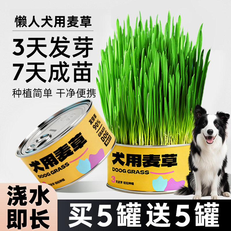 懒人狗草盆栽猫草官方旗舰店正品犬食用化小麦苗毛草狗吃的草罐头