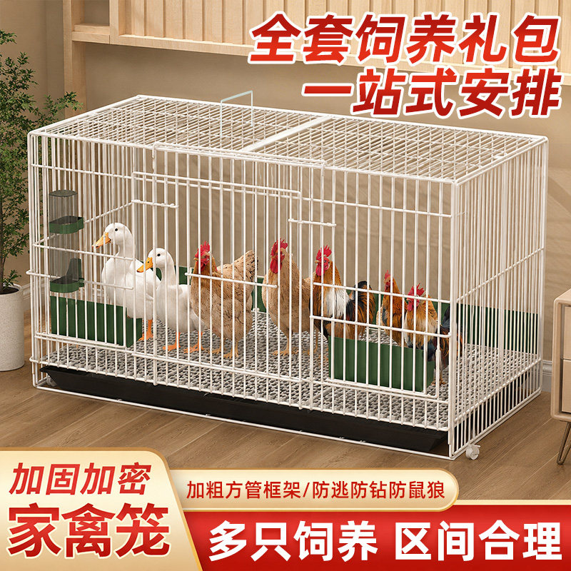 小鸡笼子家用鸭笼芦丁鸡鸭宠物专用铁丝室内外大号养殖笼自动清粪