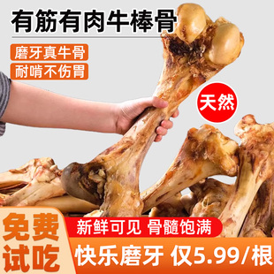 狗狗零食磨牙牛骨棒大中小型幼犬耐咬洁齿解闷奖励训练宠物磨牙棒