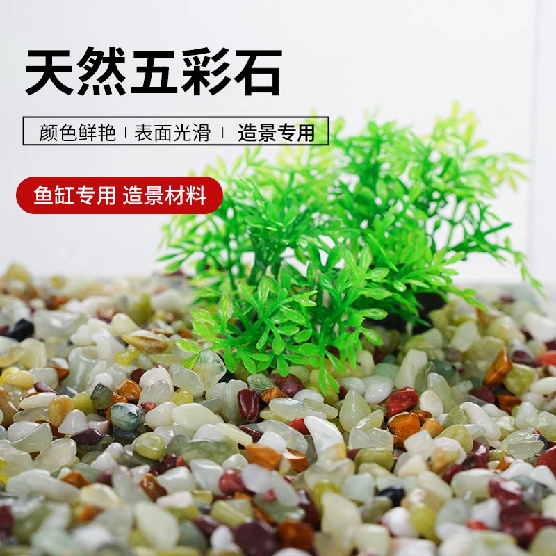 天然雨花石鱼缸造景鱼缸底部砂石