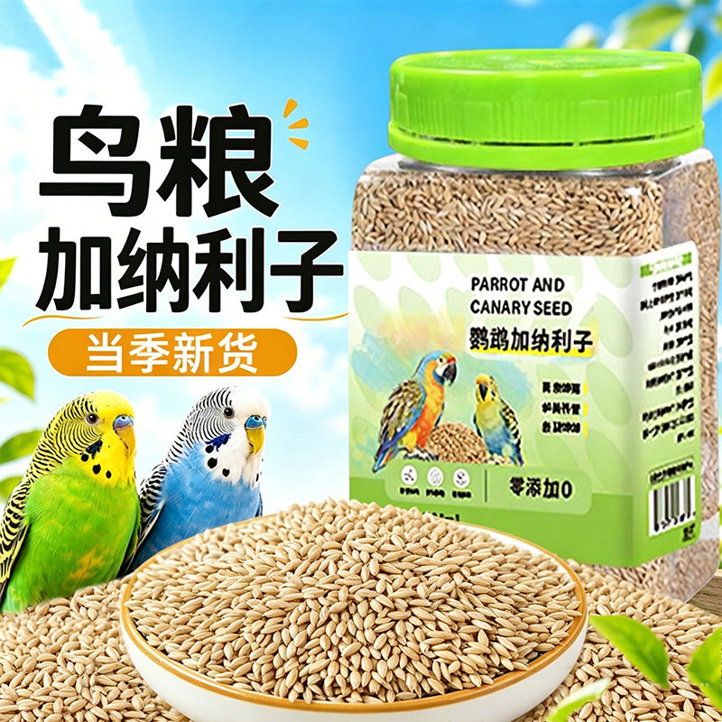 【董宇辉力荐】鸟粮饲料加纳利子