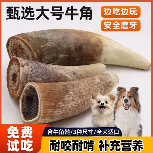 狗狗风干牛角磨牙零食宠物牛角髓